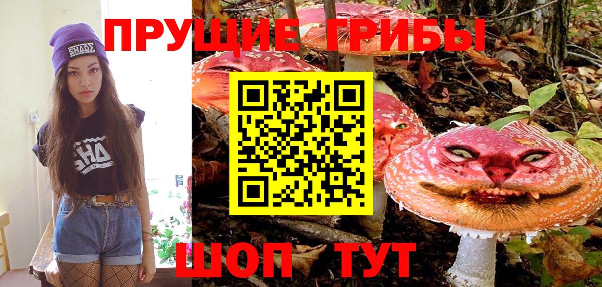 Псилоцибиновые грибы Psilocybe  Вход с VPN  Мыски  Псилоцибиновые грибы MAGIC MUSHROOMS 