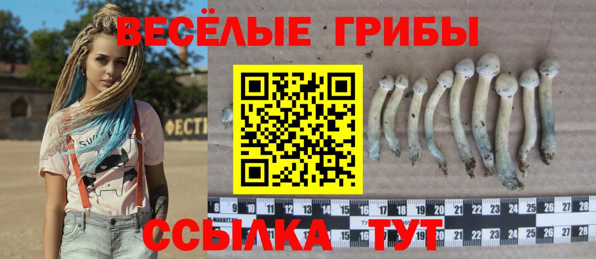Псилоцибиновые грибы Magic Shrooms Мыски