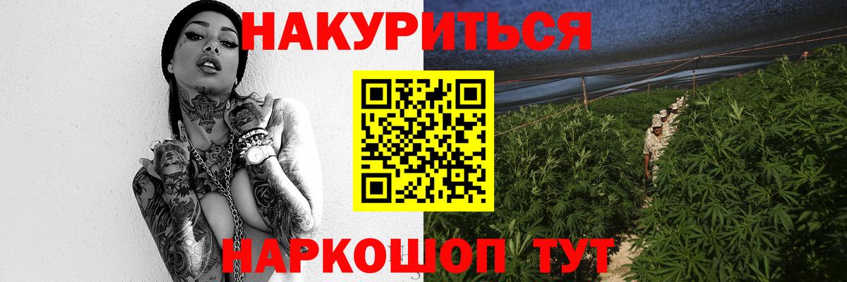 МАРИХУАНА план Мыски
